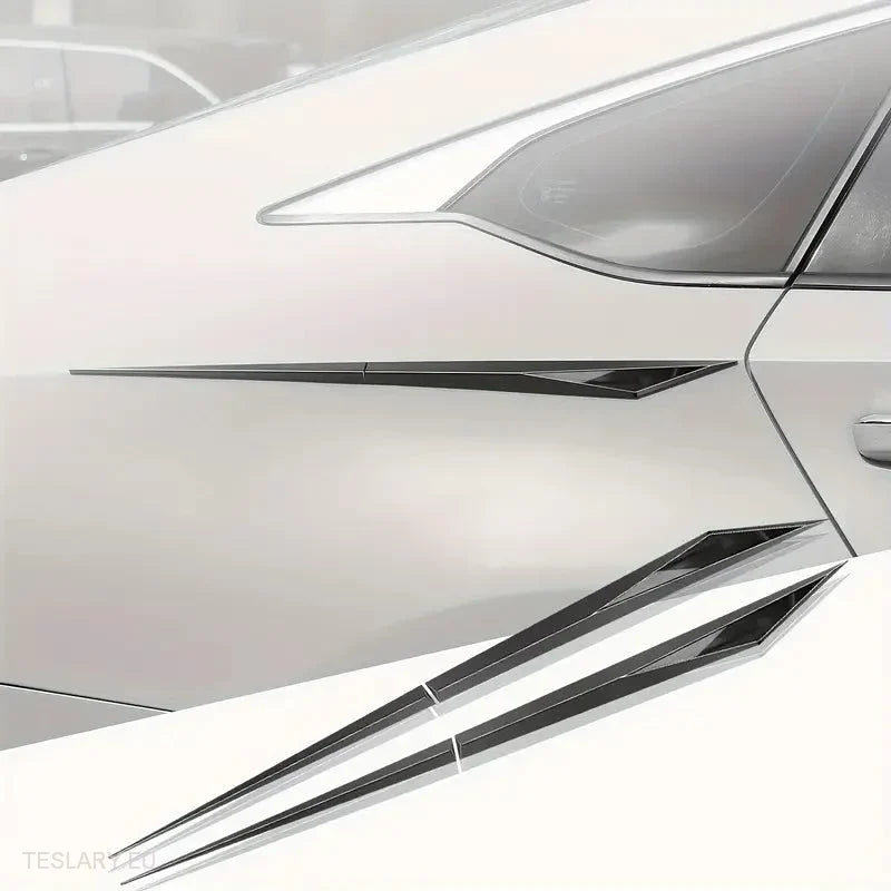 Chrome Plated Trim Accents for Side or Bonnet -TESLARY.IE Tesla Shop Europe