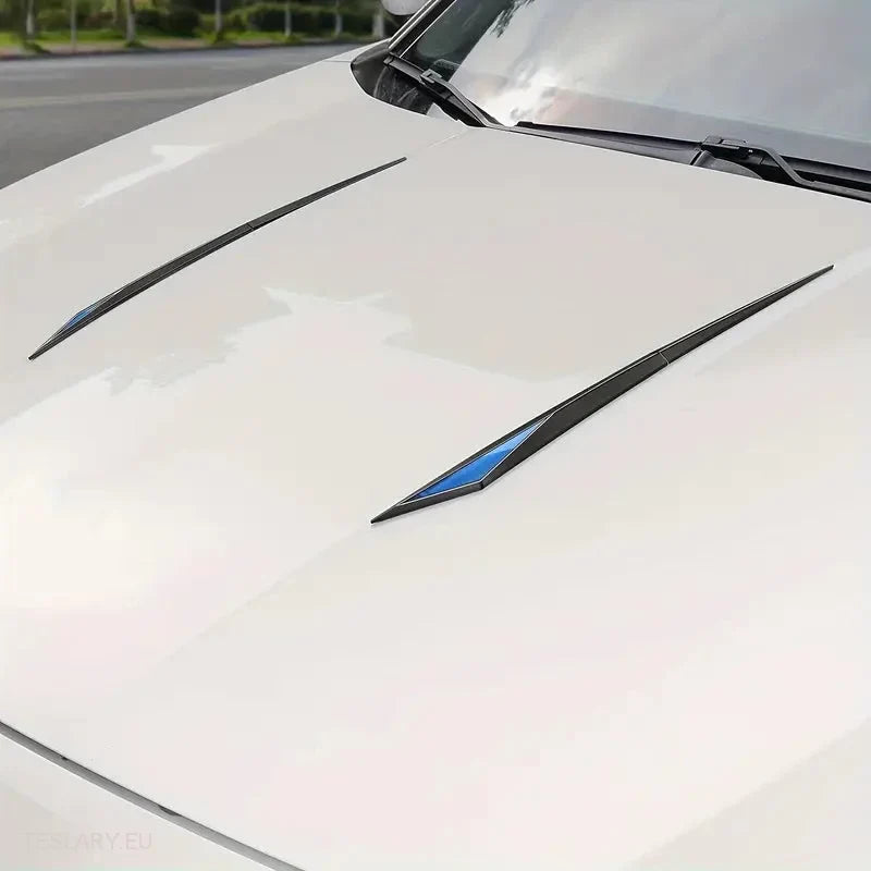 Chrome Plated Trim Accents for Side or Bonnet -TESLARY.IE Tesla Shop Europe