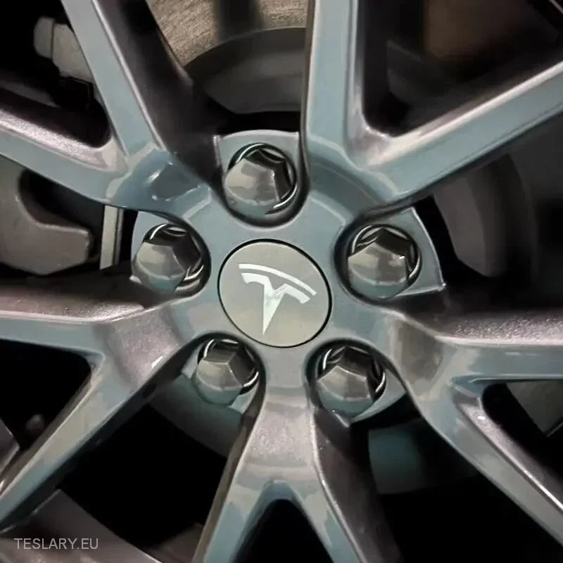 56mm Wheel Centre Caps with Logo for Tesla 3 , Y , S and X -TESLARY.IE Tesla Shop Europe