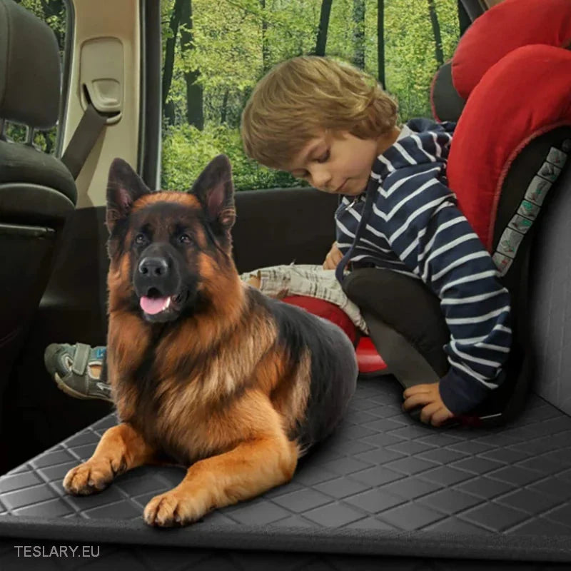 Premium Dog Car Seat Cover for Back Seat Suitable for Tesla 3 , Y & S -TESLARY.IE Tesla Shop Europe